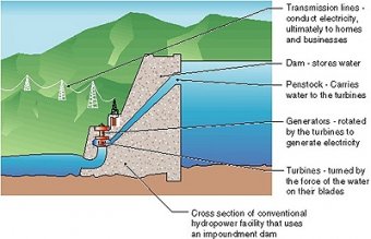 design showing a cross portion of an impoundment dam and hydropower plant. Transmission outlines conduct electricity to homes and businesses. Dam shops liquid. Penstock carries liquid to your turbines. Generators tend to be turned by the turbines to generate electricity. Turbines tend to be switched by the force associated with liquid on their blades.