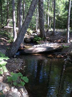Flume Creek